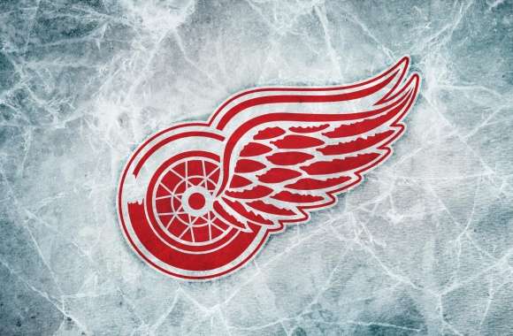 Detroit Red Wings wallpapers hd quality