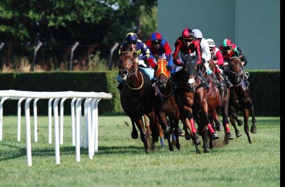 Horse Racing wallpapers hd quality