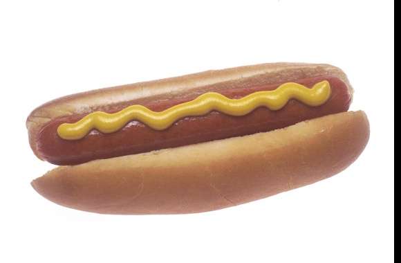 Hot Dog wallpapers hd quality