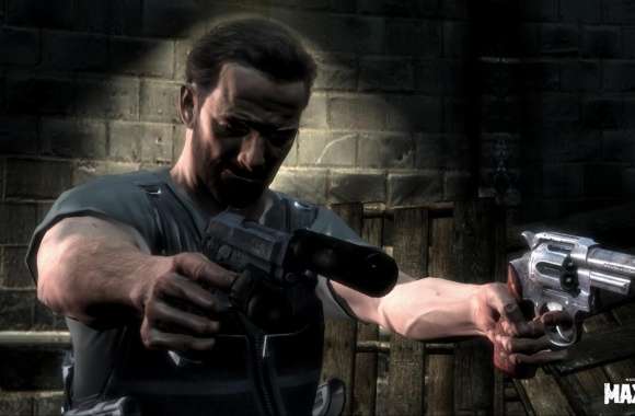 Max Payne wallpapers hd quality