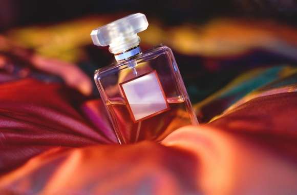 Perfume Photography wallpapers hd quality