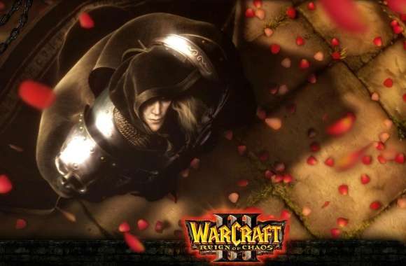 Warcraft III Reign Of Chaos wallpapers hd quality