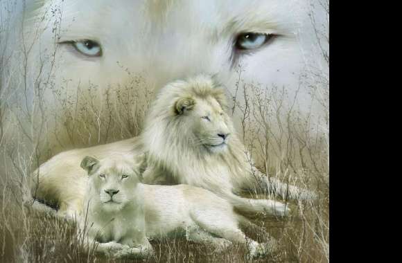 White Lion wallpapers hd quality