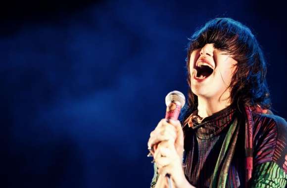 Yeah Yeah Yeahs wallpapers hd quality