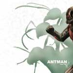 Ant-Man Comics wallpapers hd