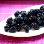 Blackberry Food wallpapers