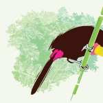Toucan free wallpapers