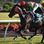 Horse Racing wallpapers for iphone