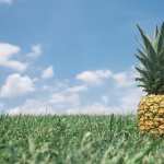 Pineapple images