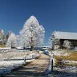 Winter Photography high definition photo