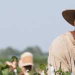 12 Years A Slave new wallpapers