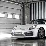 Porsche Cayman GT4 images