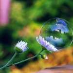 Bubble Photography wallpapers hd