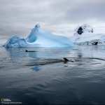 Iceberg images