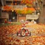 Fall Photography high definition wallpapers