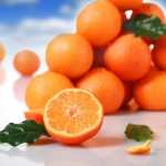 Orange Food wallpapers for iphone
