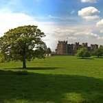 Raby Castle images