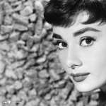 Audrey Hepburn free wallpapers