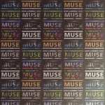 Muse hd wallpaper