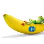 Banana free download