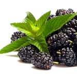 Blackberry Food wallpapers for android