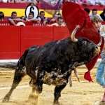 Bullfighting widescreen