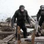 Dawn Of The Planet Of The Apes wallpaper