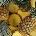 Pineapple wallpapers