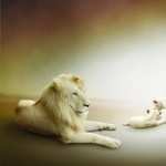 White Lion pic