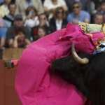 Bullfighting background