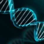 DNA Structure download