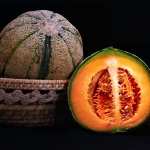 Melon background