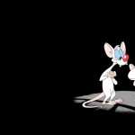 Pinky And The Brain photo