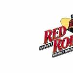 Red Robin high quality wallpapers