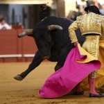 Bullfighting PC wallpapers