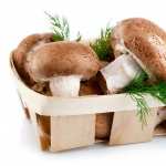 Mushroom widescreen