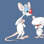 Pinky And The Brain hd wallpaper