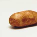 Potato high definition photo