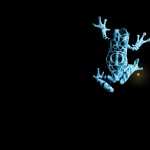 Tree Frog high definition wallpapers