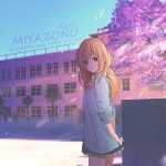 Your Lie In April photo