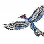 Archaeopteryx pic