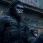 Dawn Of The Planet Of The Apes 1080p