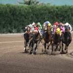 Horse Racing images