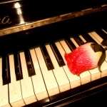 Piano free wallpapers