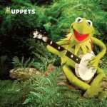 The Muppet Show pic