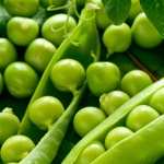 Vegetables wallpapers for iphone