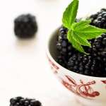 Blackberry Food free download