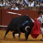 Bullfighting wallpaper