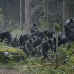 Dawn Of The Planet Of The Apes background