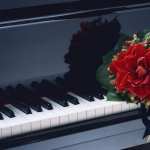 Piano wallpapers for android